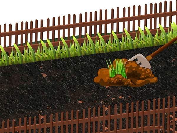 用草籽种草教程 2