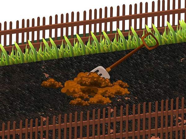 用草籽种草教程 4