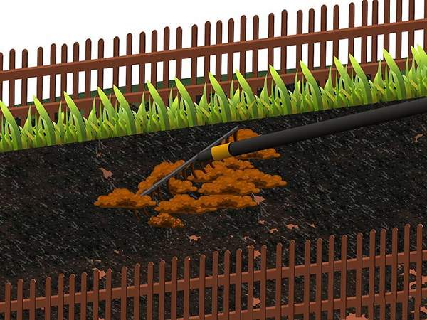 用草籽种草教程 5