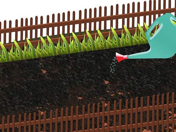 用草籽种草教程 9