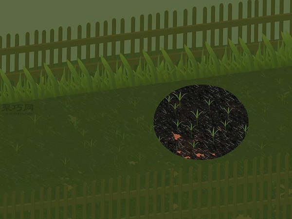 用草籽种草教程 11