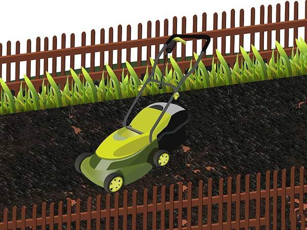 用草籽种草教程 12