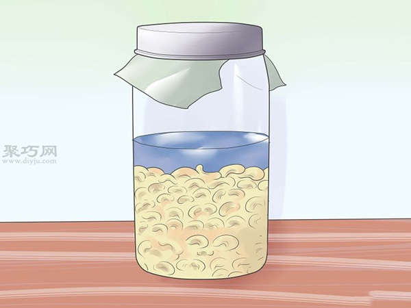 怎么让蔬菜或豆类发芽 12