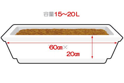 家庭阳台种植毛豆全攻略，轻松收获新鲜食材