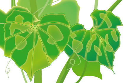 黄瓜病虫害防治全攻略，阳台种植必备防护指南