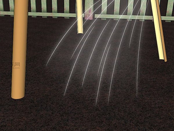 怎样种植豆类和豌豆 11