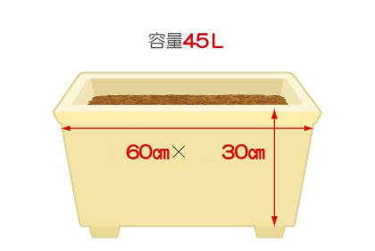 阳台种植土豆全攻略：土壤选择与品种培育技巧