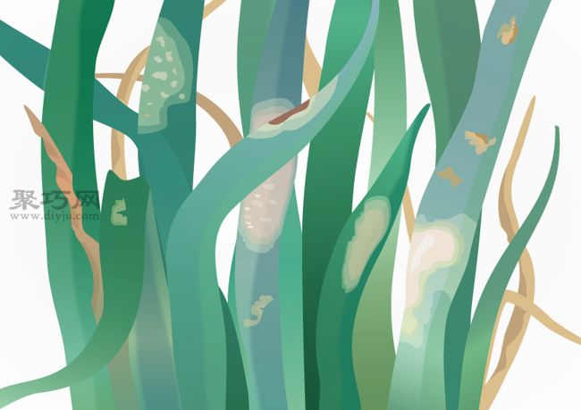 盆栽洋葱病虫害防治全攻略，家庭种植轻松搞定