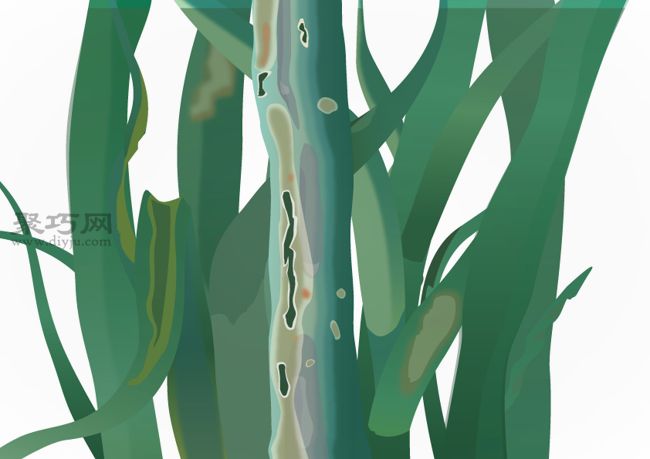 盆栽洋葱病虫害防治全攻略，家庭种植轻松搞定