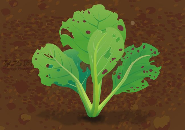 油菜病虫害防治全攻略：有效预防花叶病白锈病方法