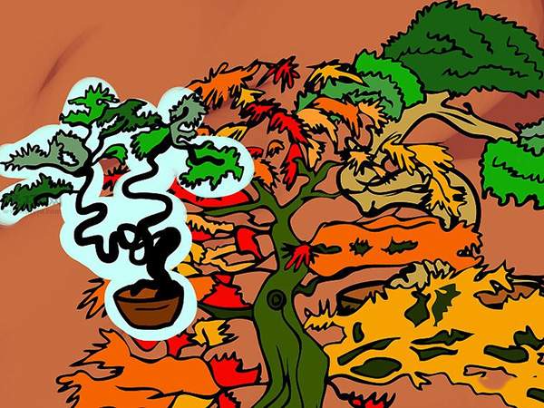 种植盆栽图片教程 1