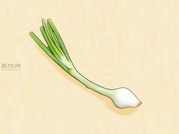 怎么在玻璃罐里种植葱 12