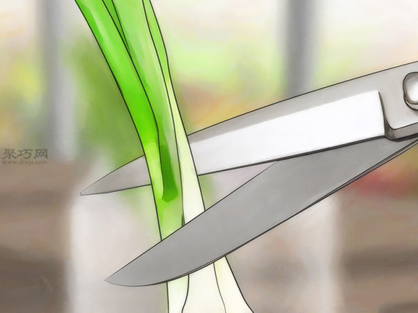 怎么在玻璃罐里种植葱 15