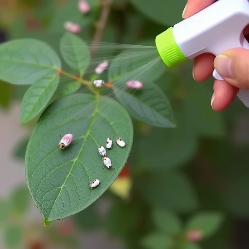 树状月季粉虱防治全攻略