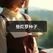 曼陀罗种子（图1）