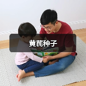 黄芪种子（图4）