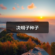 决明子种子（图1）