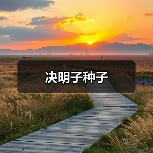 决明子种子（图2）