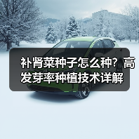 补肾菜种子怎么种？高发芽率种植技术详解（图1）