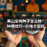 黄山栾树种子怎么种?种植技巧+价格全解析(图4) 黄山栾树种子怎么种?种植技巧+价格全解析(图4)