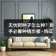 无忧树种子怎么种？新手必看种植步骤+购买指南（图2）