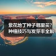 紫花地丁种子哪里买？种植技巧与发芽率全解析（图1）