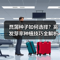 菖蒲种子如何选择？高发芽率种植技巧全解析（图2）