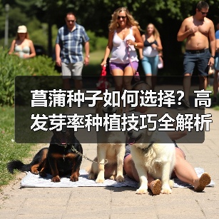 菖蒲种子如何选择？高发芽率种植技巧全解析（图4）