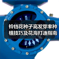铃铛花种子高发芽率种植技巧及花海打造指南(图2) 铃铛花种子高发芽率种植技巧及花海打造指南(图2)
