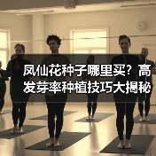 凤仙花种子哪里买？高发芽率种植技巧大揭秘（图2）