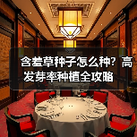 含羞草种子怎么种？高发芽率种植全攻略（图1）