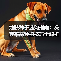 地肤种子选购指南：发芽率高种植技巧全解析（图1）