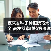 夜来香种子种植技巧大全 高发芽率种植方法详解（图3）