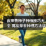 夜来香种子种植技巧大全 高发芽率种植方法详解（图4）
