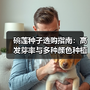 碗莲种子选购指南：高发芽率与多种颜色种植技巧（图1）