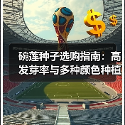 碗莲种子选购指南：高发芽率与多种颜色种植技巧（图2）