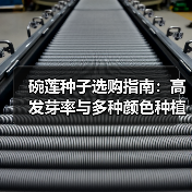 碗莲种子选购指南：高发芽率与多种颜色种植技巧（图4）