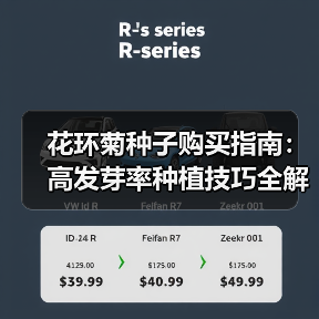 花环菊种子购买指南：高发芽率种植技巧全解析（图2）