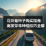 花环菊种子购买指南：高发芽率种植技巧全解析（图1）