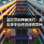 蓝花亚麻种植技巧:高发芽率如何选择优质种子?(图2) 蓝花亚麻种植技巧:高发芽率如何选择优质种子?(图2)