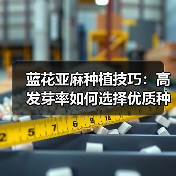 蓝花亚麻种植技巧：高发芽率如何选择优质种子？（图4）