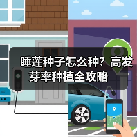 睡莲种子怎么种？高发芽率种植全攻略（图1）