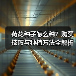 荷花种子怎么种？购买技巧与种植方法全解析（图1）