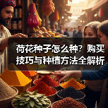 荷花种子怎么种？购买技巧与种植方法全解析（图2）