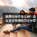跳舞草种子怎么种？高发芽率种植技巧全分享（图2）