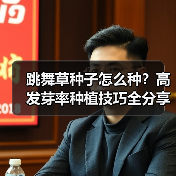 跳舞草种子怎么种？高发芽率种植技巧全分享（图3）