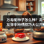 万寿菊种子怎么种？高发芽率种植技巧大公开（图4）