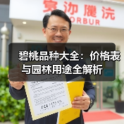 碧桃品种大全：价格表与园林用途全解析（图3）