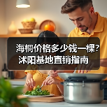 海桐价格多少钱一棵？沭阳基地直销指南（图2）