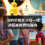 海桐价格多少钱一棵？沭阳基地直销指南（图3）
